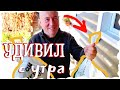 ДОСТАВКА В ЛЕС | ПЕРВОЕ МЕСТО | ПЕШКОМ ПО СНТ