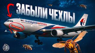 :  ! Malaysian Airlines 134 Airbus A330. 18  2018 .