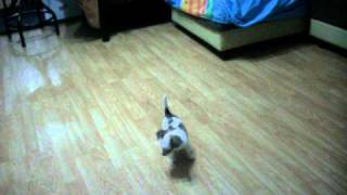 Picture 208.avi