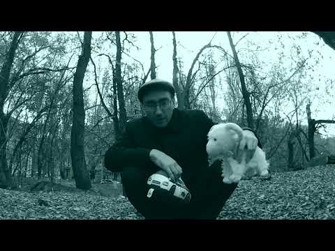 О необходимости изучения Регламента № 664 водителем