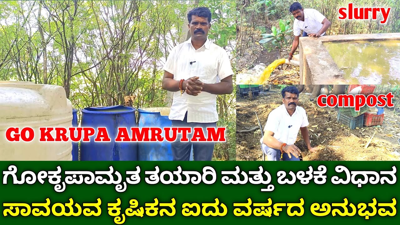 ಗೋಕೃಪಾಮೃತ ಜಲ ತಯಾರಿ ಮತ್ತು ಬಳಕೆ ವಿಧಾನ | Go krupa amrutam making and benefits in kannada