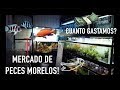 Mercado de Peces de MORELOS!!! POR PRIMERA VES!! PT1 - alekh2x