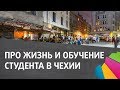 Важные вопросы про обучение в Чехии. Говорим со студентом и куратором чешского ВУЗа