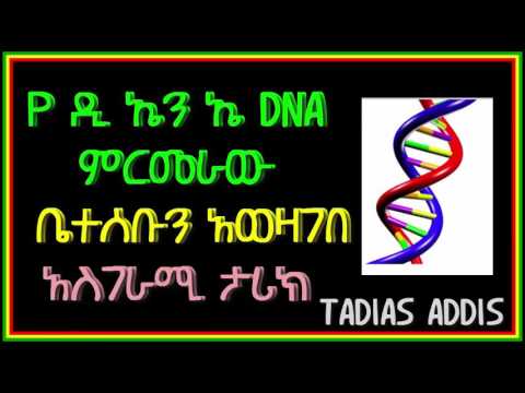 ቪዲዮ: የሰው ዲ ኤን ኤ ከሙዝ ጋር ይዛመዳል?