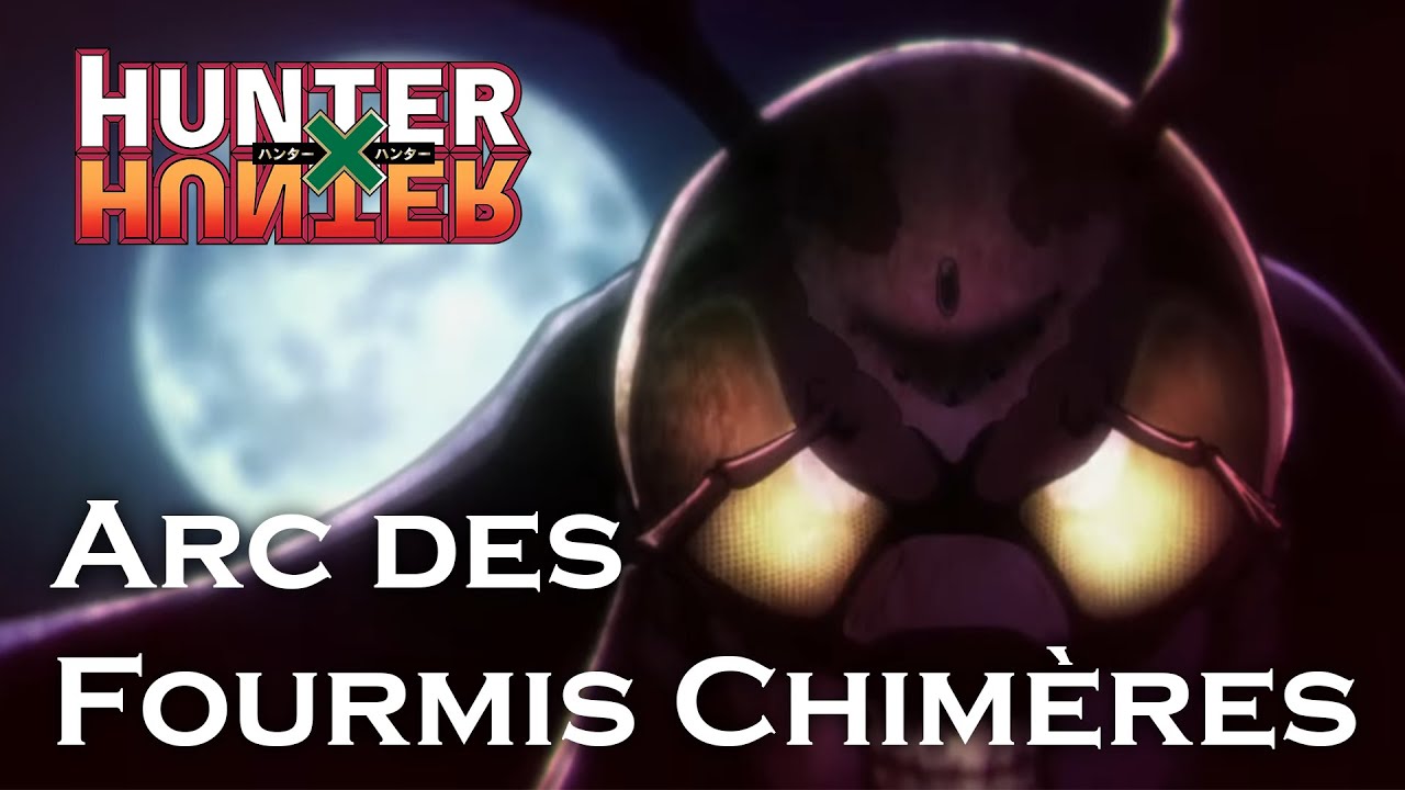 Hunter Hunter - Analyse de l'Arc des Fourmis Chimères - YouTube