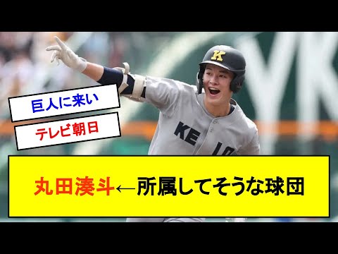 丸田湊斗←所属してそうな球団ｗｗｗｗｗ【反応集】【2chスレ】【1分動画】【ゆっくり解説】【ずんだもん解説】