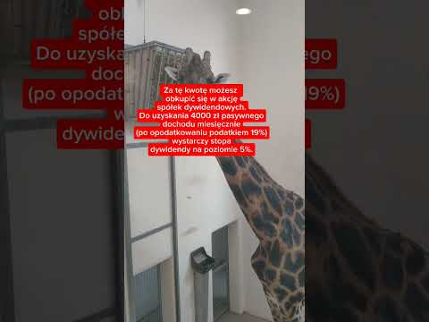 Ile trzeba mieć