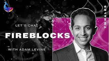 Fireblocks’ Evolution: Crypto, Banking, Payments & Partnerships | Adam Levine |  Fireblocks