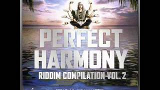 Wayne Wonder & Dainjamental - Special Delivery (Perfect Harmony Riddim) Partillo (Tunesberg Records)