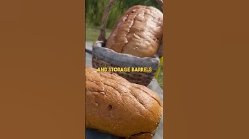 Is Rust getting easier?! #rust #rustgame #gaming #shorts #facepunch #pvp