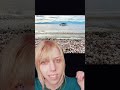 my favorite funfacts: fish are pooped out by birds unharmed and the Salton Sea is ain't right