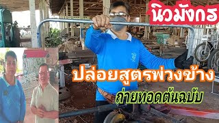 ปล่อยวิชาต้นฉบับพ่วงข้าง