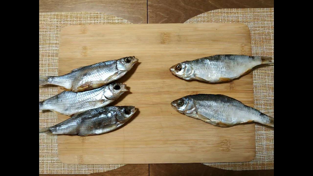 Тарань и плотва разница при рыбалке - информация о разновидностях рыб