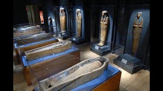 Más Allá de lo Conocido: El Gran Museo Egipcio y sus Revelaciones Asombrosas #egipto #museo