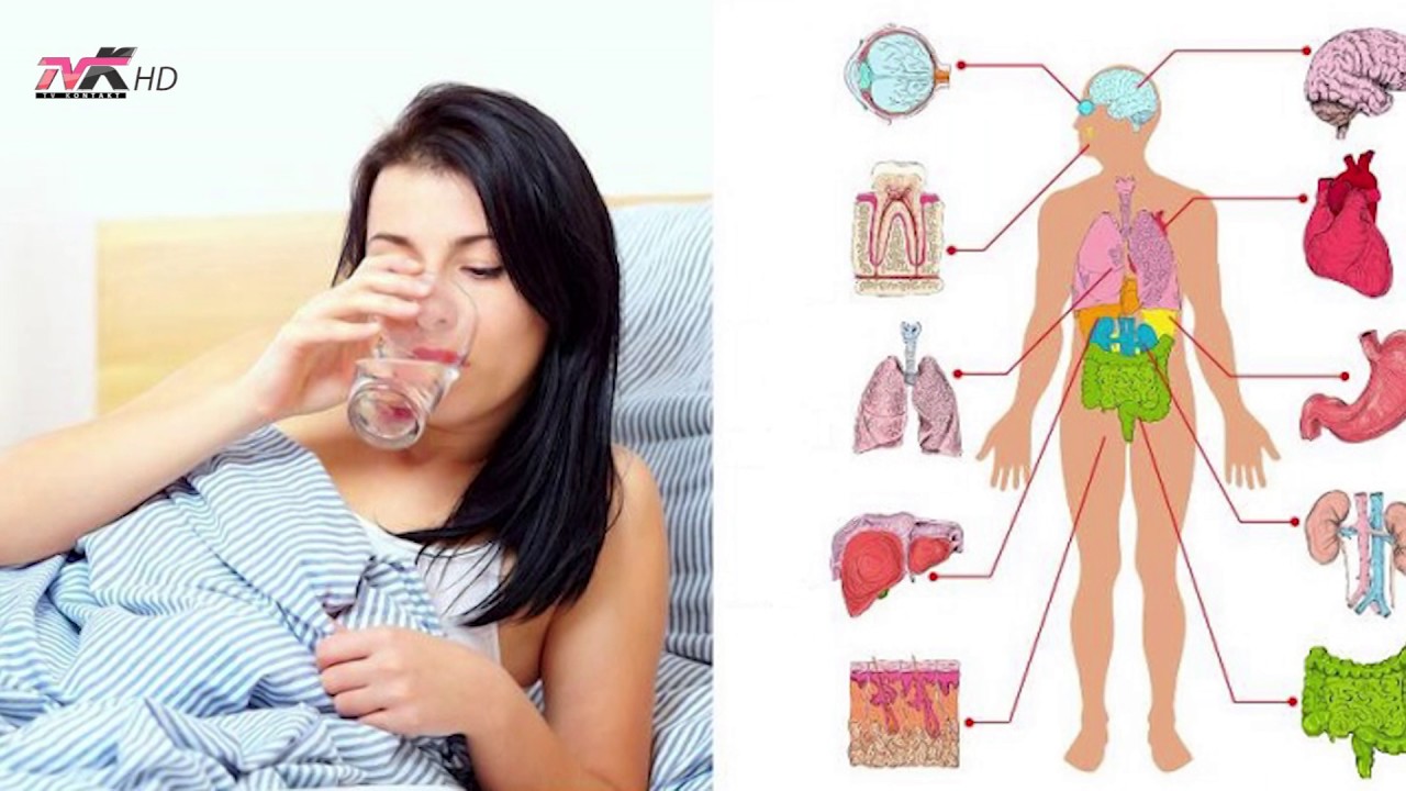 Girl Organism Videos