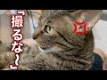 パパに抱っこされたてんちゃんを撮影していたら・・・?