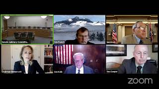 Senate Judiciary Meeting, February 24, 2021