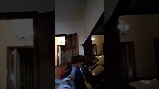 Sami Bitar carl czerny 160 kurze ubungen op. 821