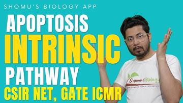 Intrinsic pathway of apoptosis | mitochondrial pathway of apoptosis | Apoptosis lecture 2