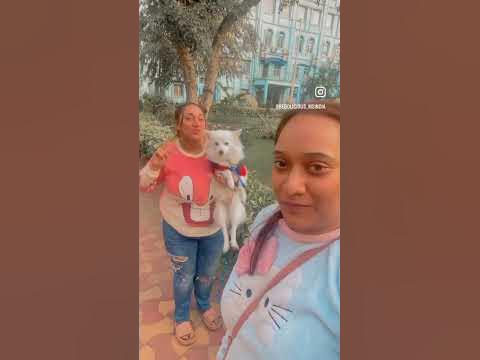 #bebo #bebolicious #dog #doglover #dogs #doglovers - YouTube