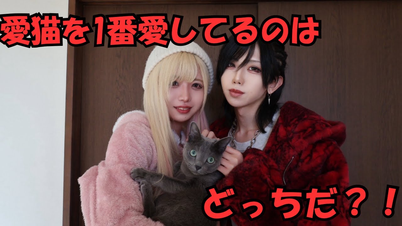 【検証動画】愛猫を1番愛してるのはどっちだ？！