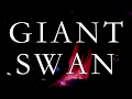 Capture de la vidéo Impatv 228 - Giant Swan - Woodland Gathering 2019 Full Set