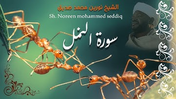 سورة النمل  الشيخ نورين محمد صديق    Sh  Nourin Mohammed Seddig  Surat Alnaml