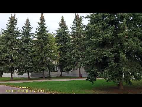 587. ОСЕНЬ 2022