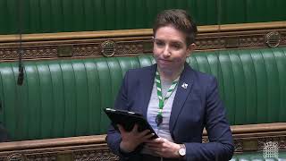 Carla Denyer MP questions Lord Walneys independence | UK Parliament | 10 Oct 2024 | Just Stop Oil