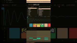 Celebrity SP1200 VST Plugin: Editing Samples and Looping Wealth