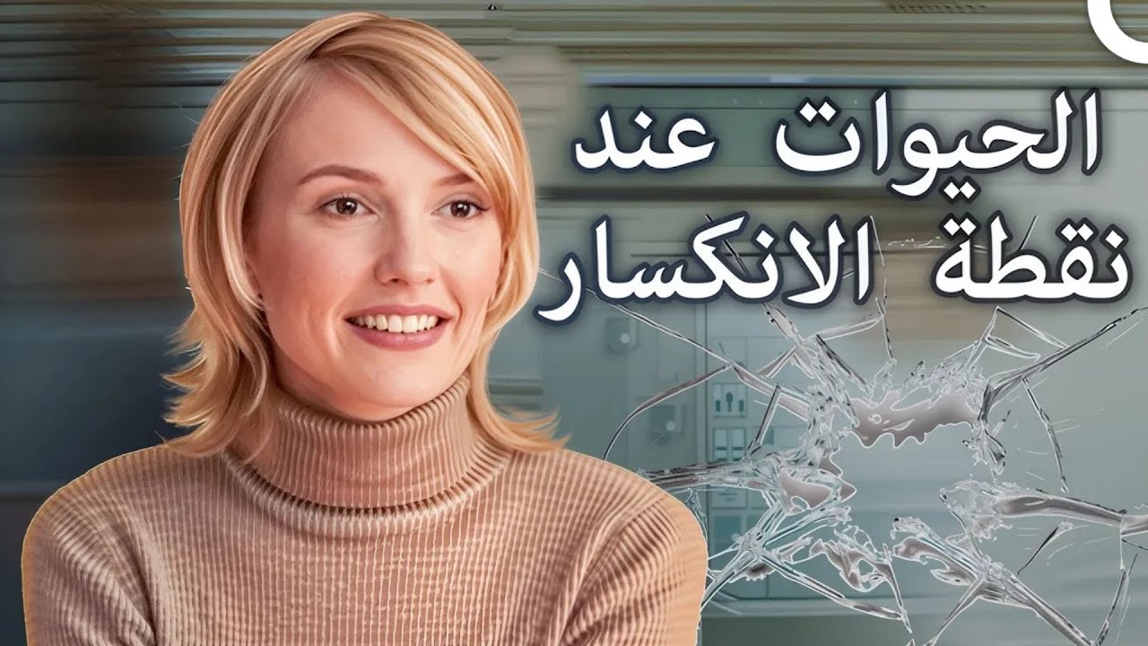 فيلمان عن الحياة عند نقطة الانكسار | ليلة سينمائية (مدبلج بالعربية)