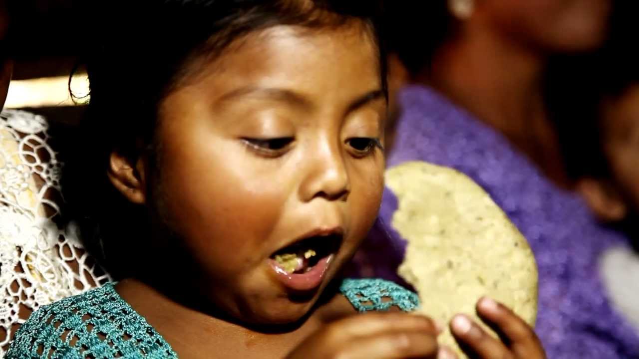 PLAN INTERNACIONAL   MamaTerra