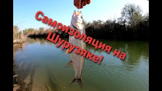 Видео Самоизоляция на Шурузяке!!! (автор: Евгений Махмудов)