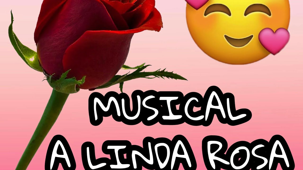 A Letra Da Música A Linda Rosa Juvenil