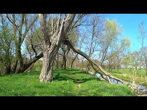 Woudenberg, wandeling door de Gelderse vallei en langs het valleikanaal 18 04 2018