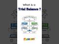 What is Trial Balance ? | GoSetle® Trial Balance Explained with Example  #trialbalance #shorts