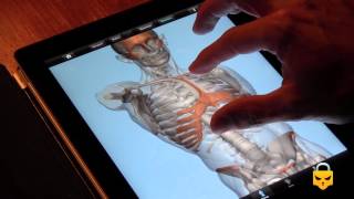 L'Ecorché one of the best anatomy Apps for artists
