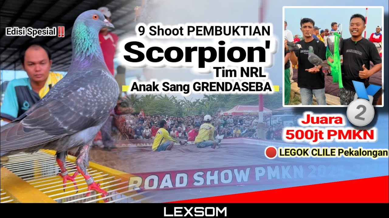 🔴 9 Shoot Pembuktian SCORPION' tim NRL Anak Sang GRENDASEBA ‼️ JUARA 2 Event 500jt PMKN LEGOK CLILE