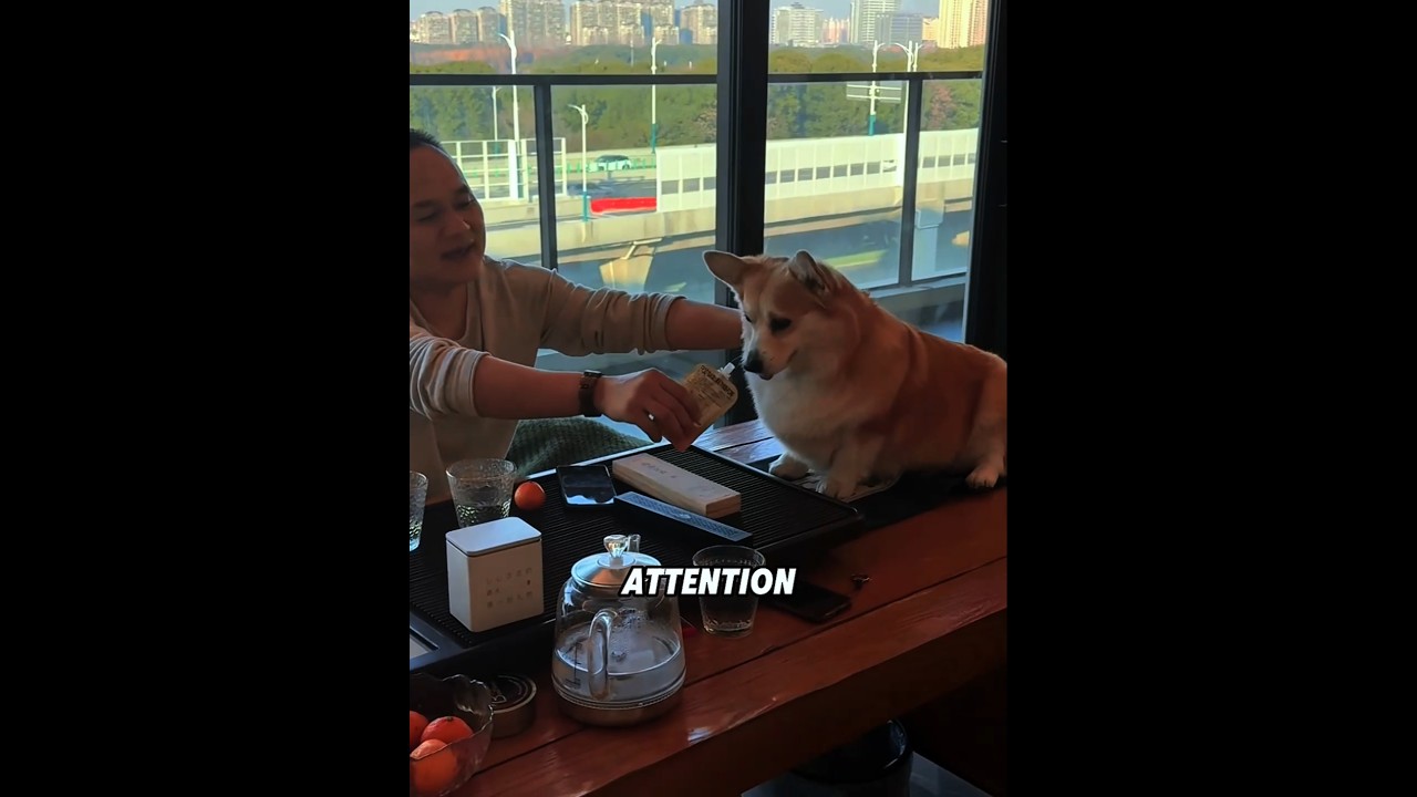 He takes Tea Time VERY seriously 🧐