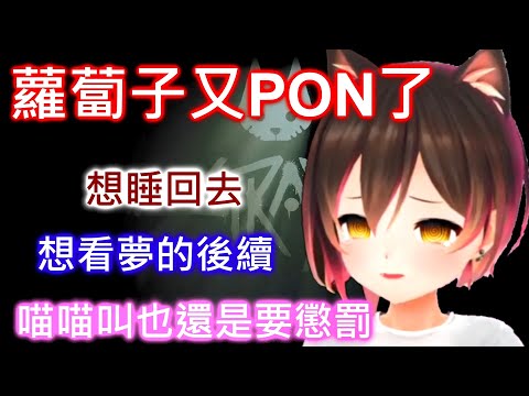 睡過頭都是因為夢太有趣了【ロボ子/蘿蔔子/ROBOCO】【HOLOLIVE中文】【Stray】