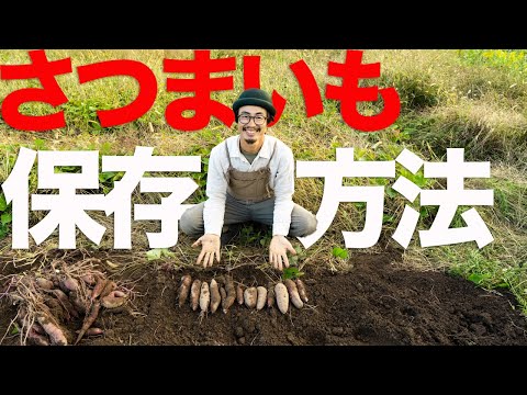 さつまいもの保存は○○○の横で！プロが腐らせてしまう原因と保存のコツを解説。