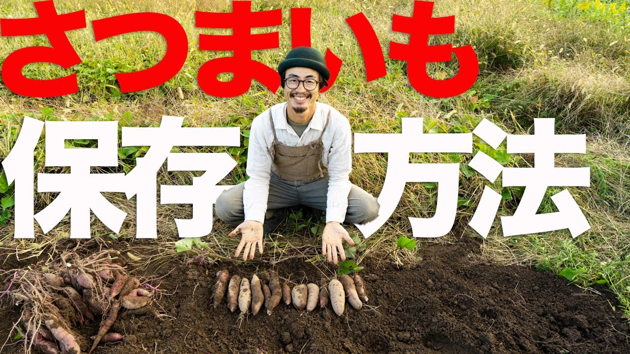 さつまいもの保存は○○○の横で！プロが腐らせてしまう原因と保存のコツを解説。