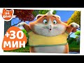 44 Котёнка | 30 МИНУТ замурчательных моментов | Сборник 1