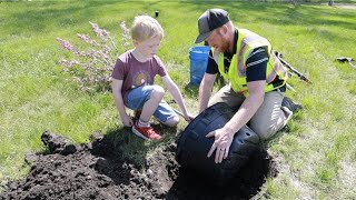 2025 Arbor Day Poster Contest Winner Tree Planting
