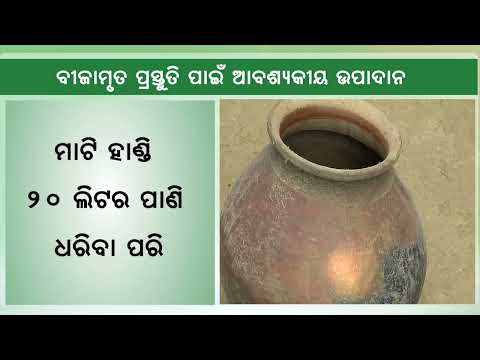 Organic Cultivation of Cabbage and Cauliflower