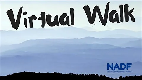 Adrenal Disease Awareness: Virtual Walk
