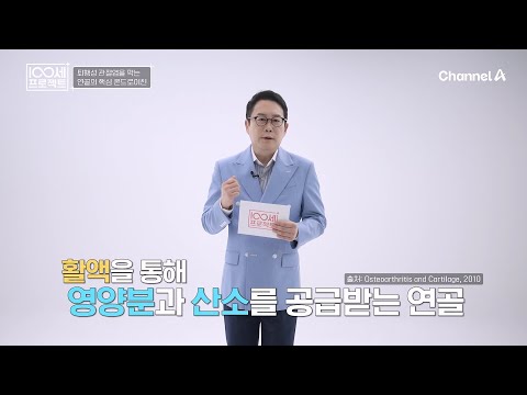 연골의 핵심은 콘드로이친★ 관절 건장 지키는 꿀팁은? | 100세 프로젝트 153 회