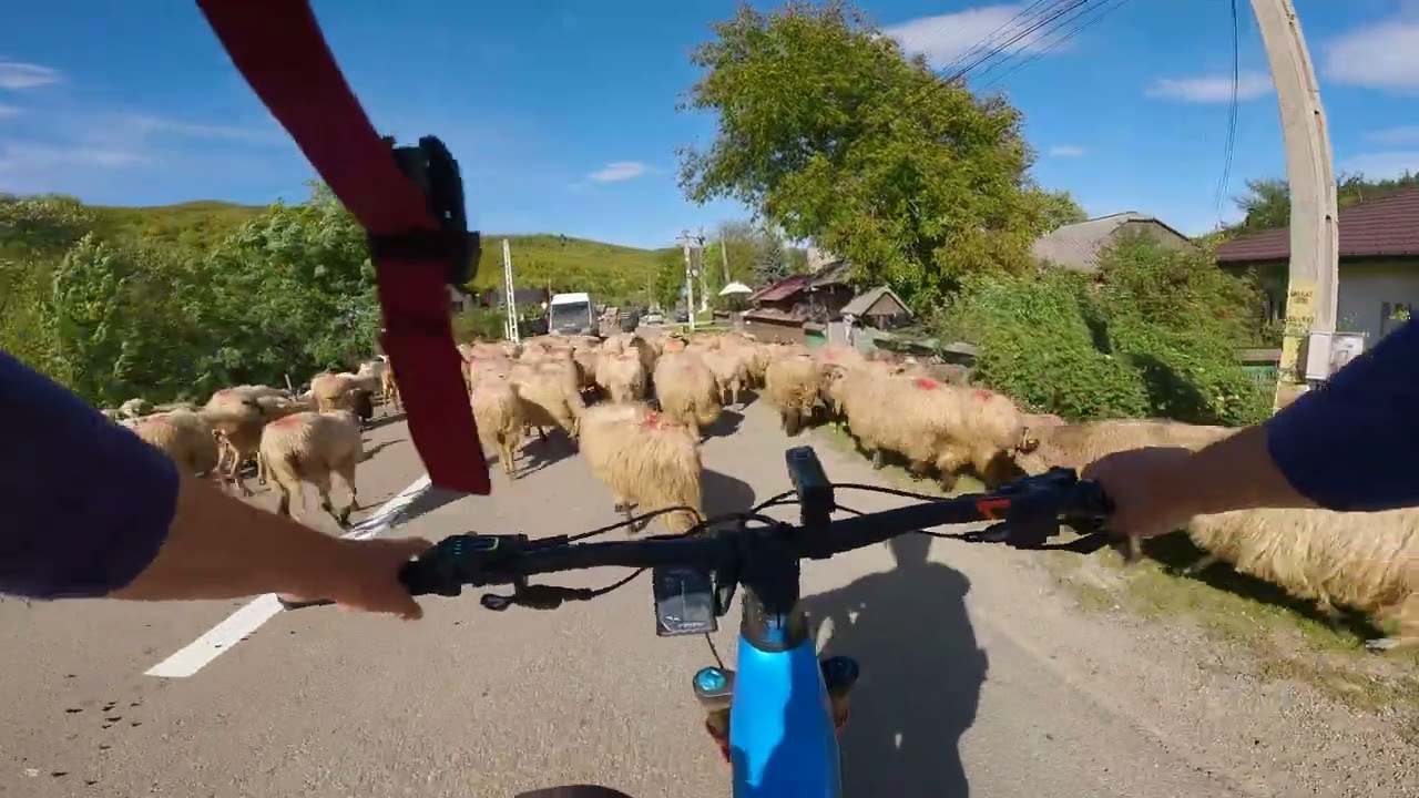 Romania: Iesle - Valeni Stanisoara - Malini - Bradatel - Mihaiesti - Suceava - Bicycle Ride