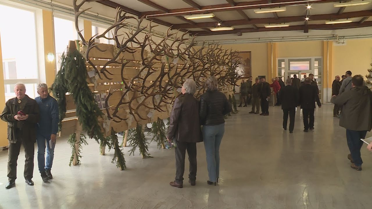 Unikátna chovateľská prehliadka poľovníckych trofejí