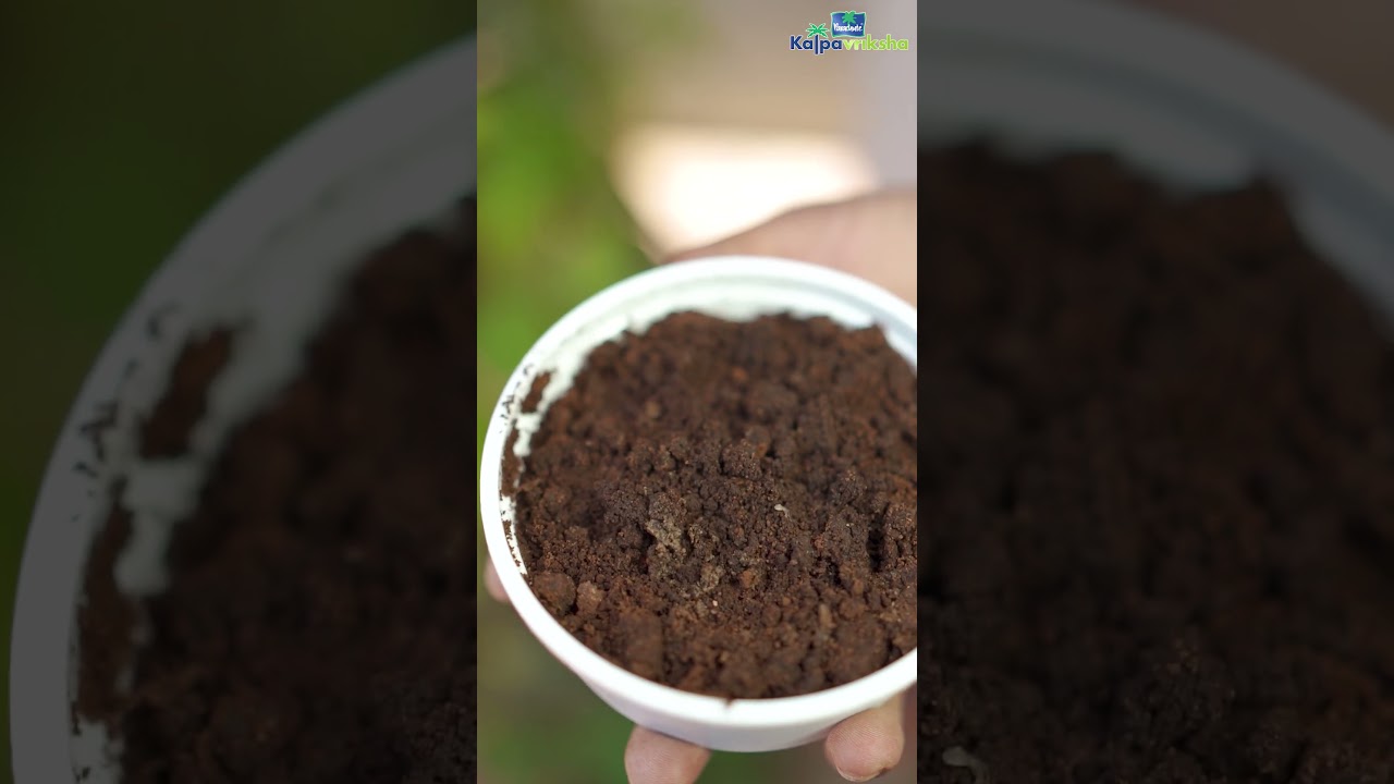 Use waste tea powder as natural nutrients supplier